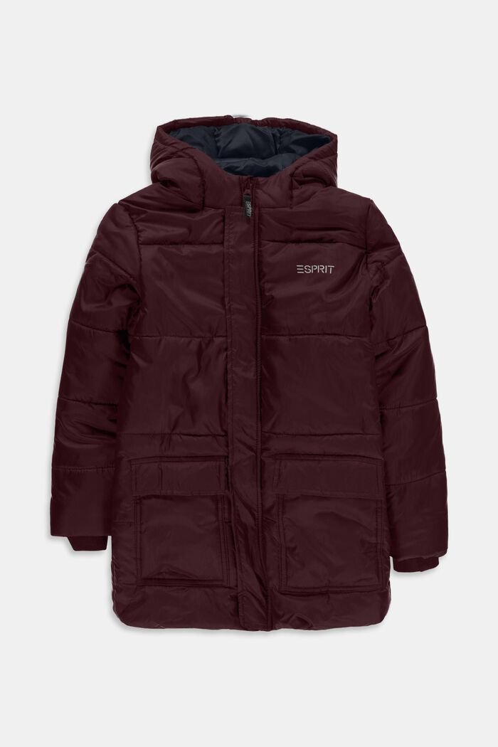 Men's Jacket